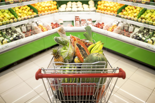 Control de plagas en supermercados y comercio